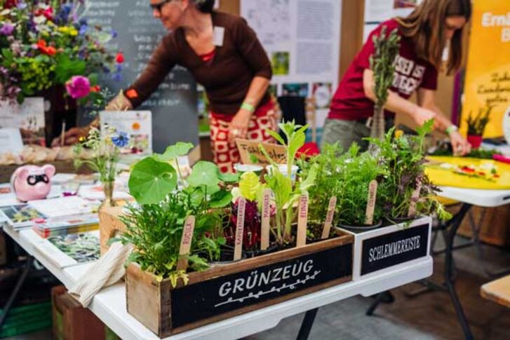 Verschiedene Setzlinge in Holzkisten am Stand des Ernaehrungsrats Bochum